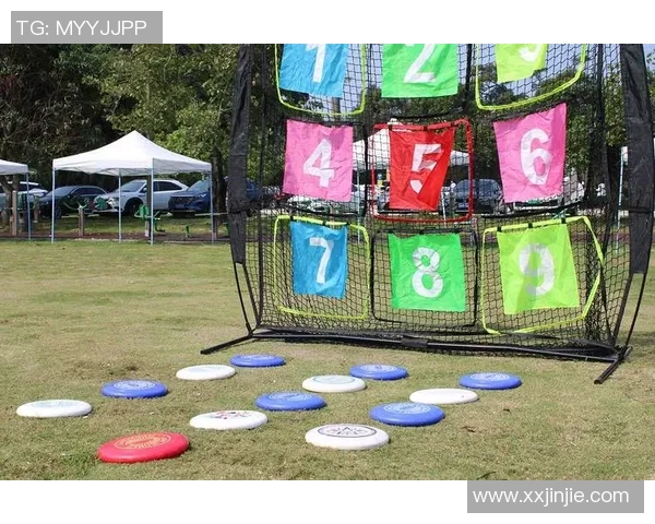 飞盘运动的魅力与挑战：深入了解杭州飞盘队的灵活战术与团队精神